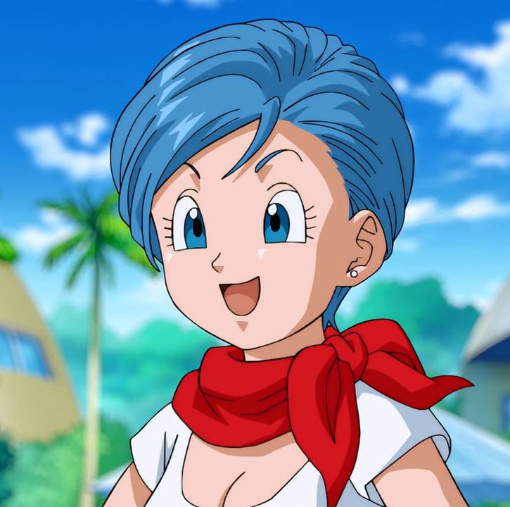 Bulma Briefs for professional animation