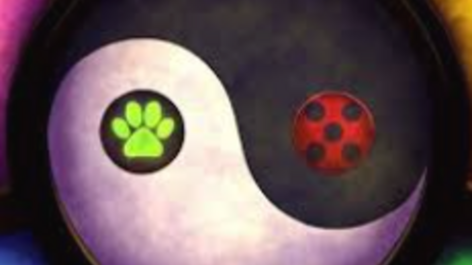 Marinette Dupain-Cheng Agreste/Guardian