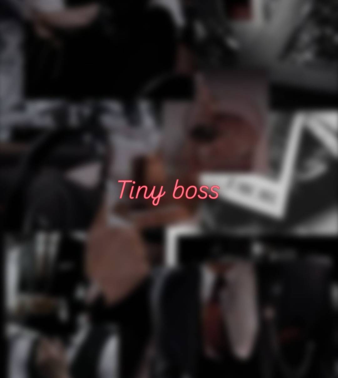 Tiny Boss animated series