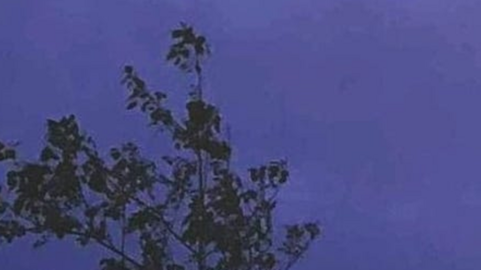 Album/Single Art + Logo Designer