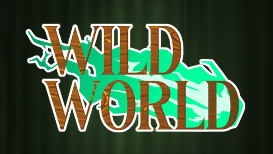 Gallibarra: The Glitchy Jester