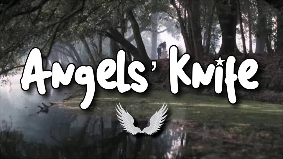 angels' knife 🪽🔪