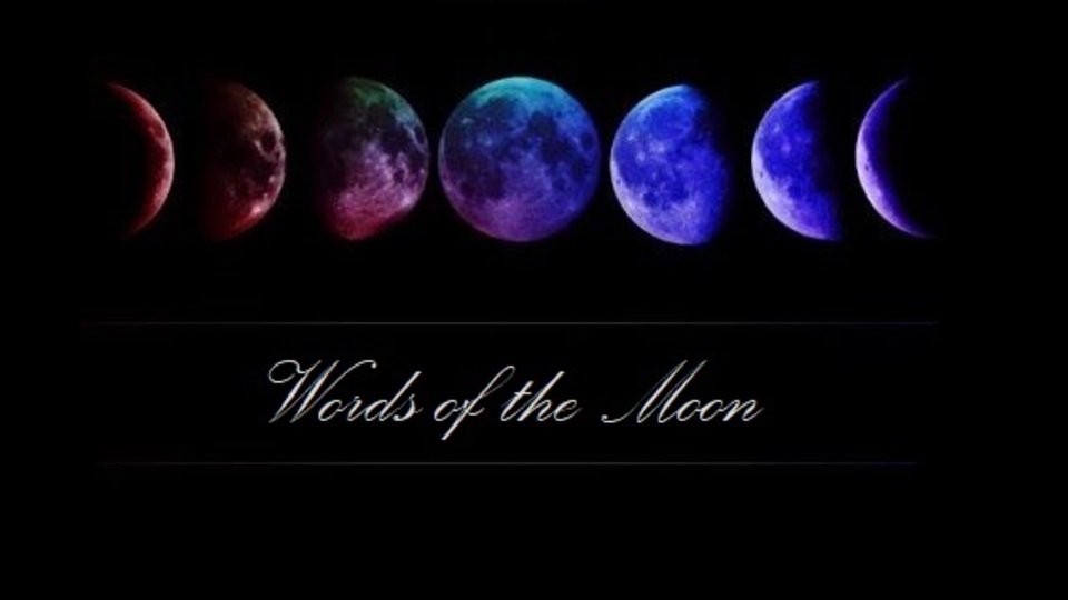 Singer (Feminine voice)