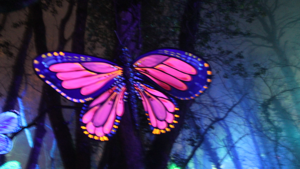 Alcinity (Rock band) 