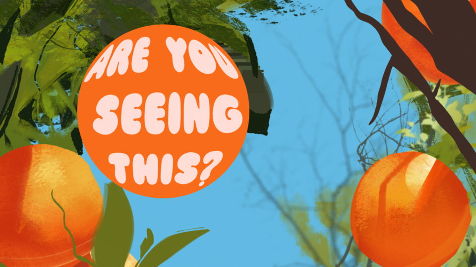 Audio Engineer / Sound Designer