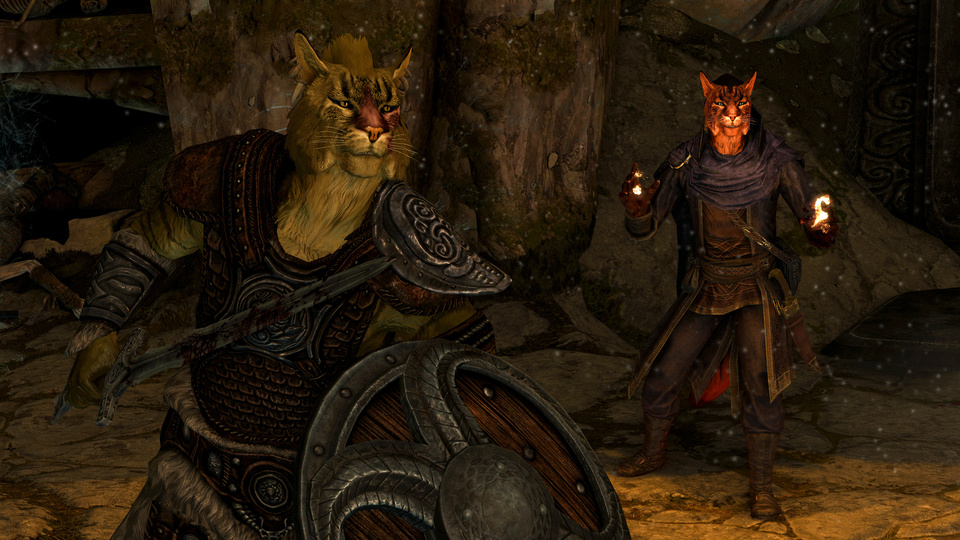 Wikky - Male Khajiit