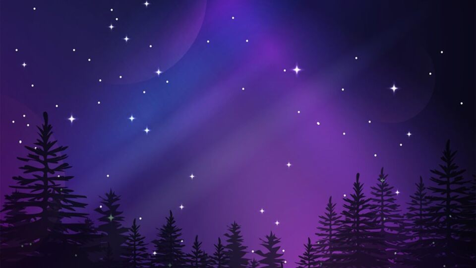 Dawn