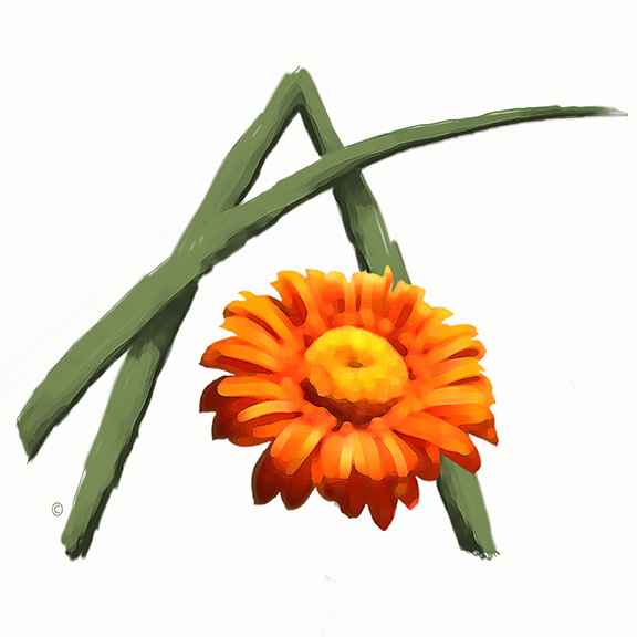 Full-length Animation Project