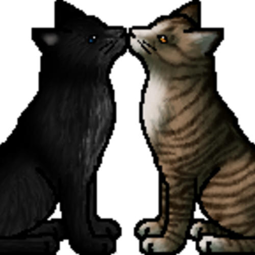 Casting Call Club WarriorsAfter sunsetWe need to talk