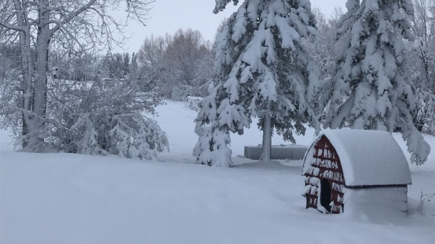 Minecraft Myths Moon Roleplay