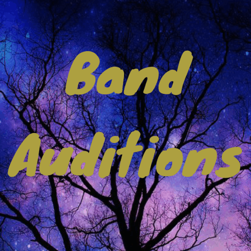 Music Composer/Lyricist  