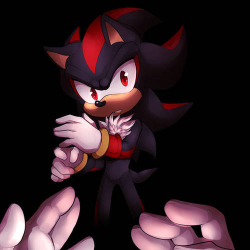 Shadow The Hedgehog 