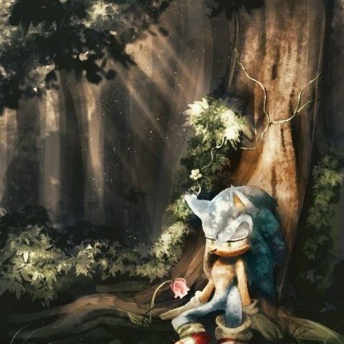 Ogilvie "Sonic" Maurice Hedgehog/Werehog Sonic