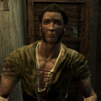 Ashe: Fire and Blood (Skyrim Follower and Quest Mod) | Casting ...