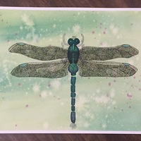 AceOfDragonflies