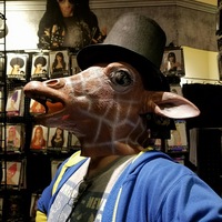 Giraffewithahat