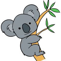 niftykoala