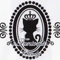 Neko Ciel Phantomhive