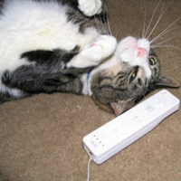 wiimotecat