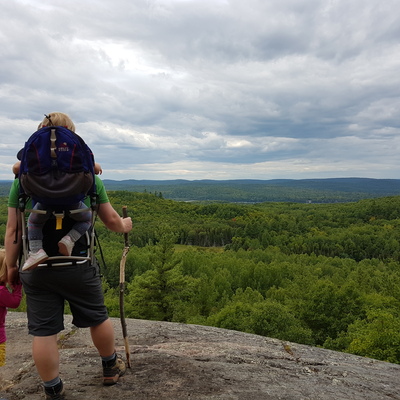 TheWonderingWanderer