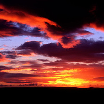 Flamingpassion warrior