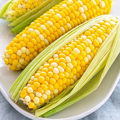 Cob Cob