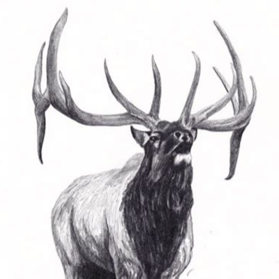 Nullius (OutdoorsmanVocals)