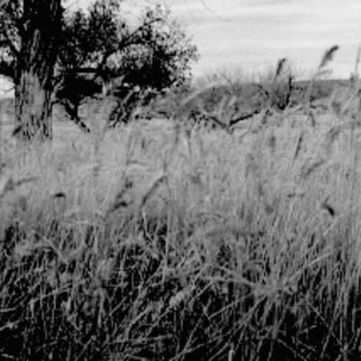 Morgan the homosapien