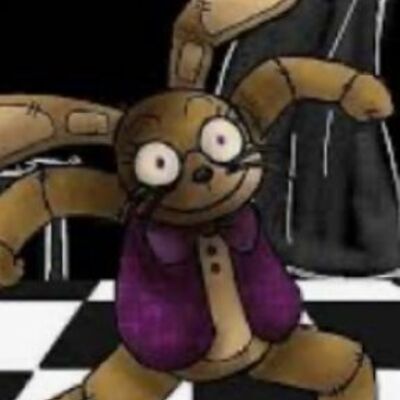 ✨The dancing rabbit✨