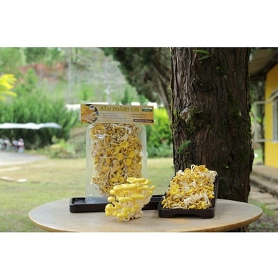 Món quà vô giá cho sức khỏe gia đình bạn!