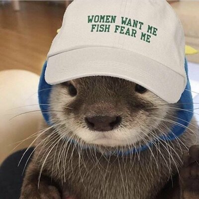 Otter