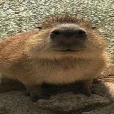 Gort Has 97 Mental Illnesses 