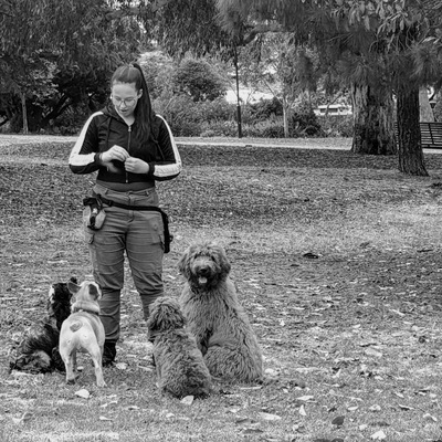 Danny lee | Casting Call Club