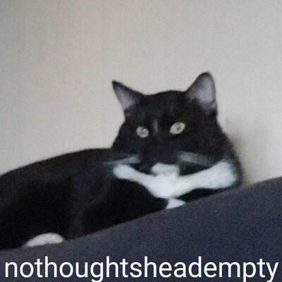 ✨𝔸𝕟𝕚𝕞𝕖𝔽𝕒𝕟𝕒𝕥𝕚𝕔✨