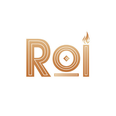 ROI Media
