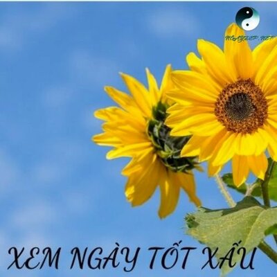Xem ngay tot xau