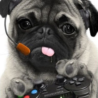 Pug Party Productions