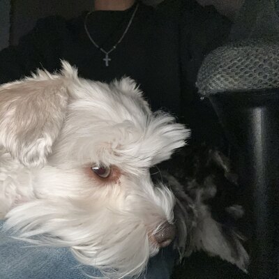 𝓜𝓲𝓼𝓕𝓲𝓽