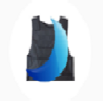 The observer of truth