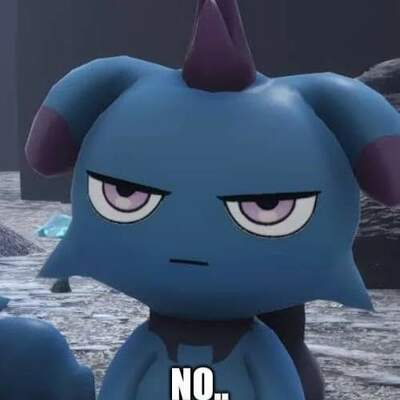 Lanaya le petit chat de l'espace