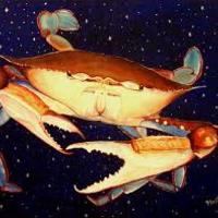 the space crab