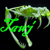 tawj