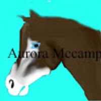 aurora-mccamp