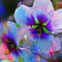 gingersnapcrackleandpop